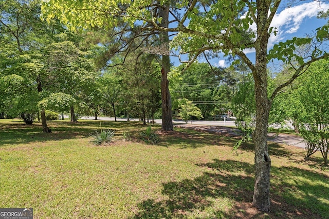 416 S Carroll Rd, Villa Rica, GA 30180 - view of green lawn