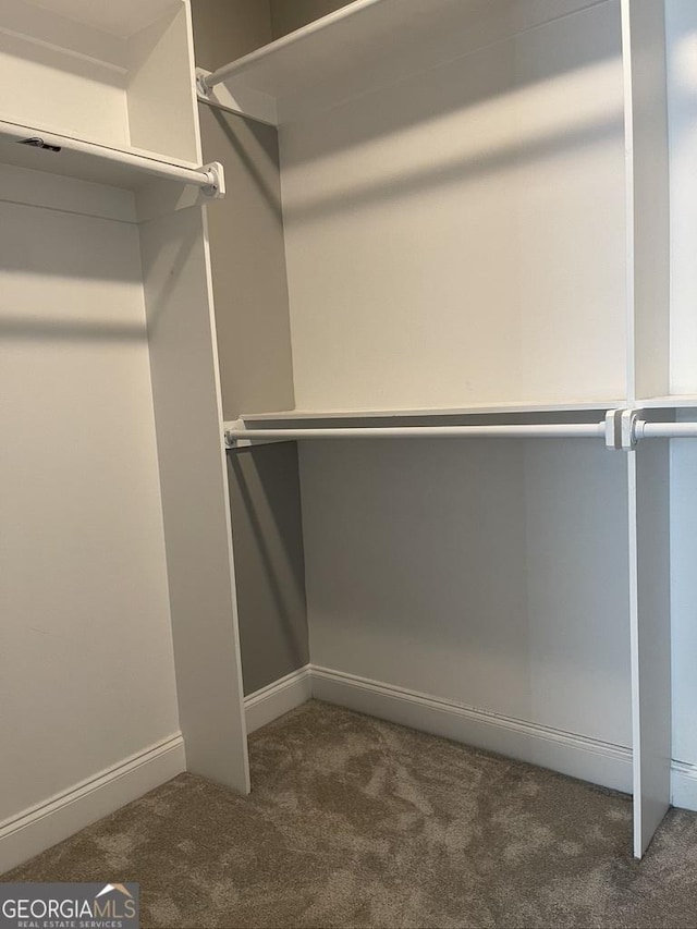 15785 Concord St, Zebulon, GA 30295 - walk in closet with dark carpet