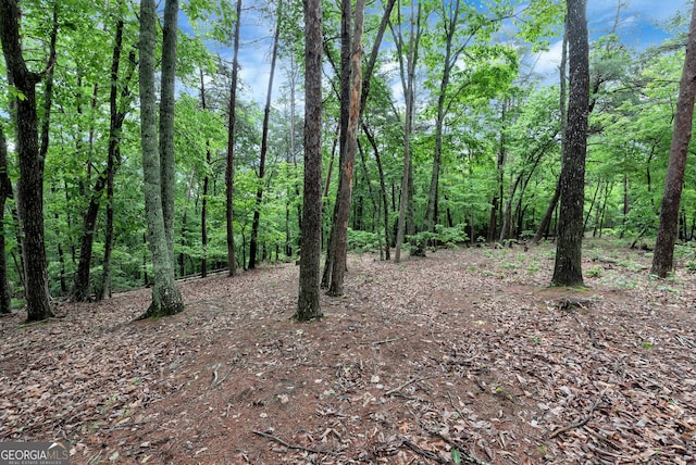 0 White Tail Ct, Dahlonega, GA 30533