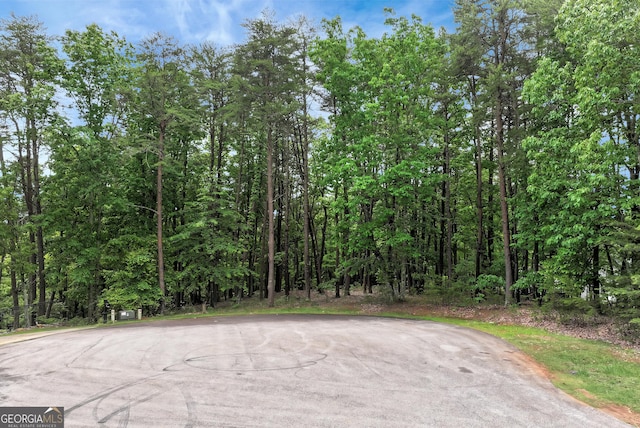 0 White Tail Ct, Dahlonega, GA 30533