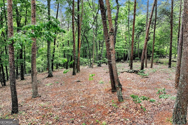 0 White Tail Ct, Dahlonega, GA 30533