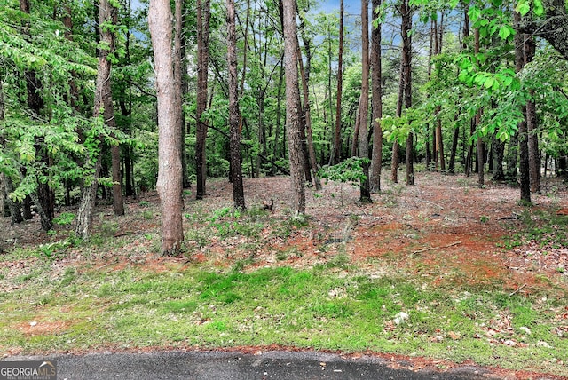 0 White Tail Ct, Dahlonega, GA 30533