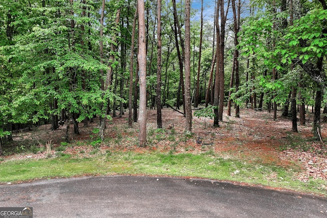 0 White Tail Ct, Dahlonega, GA 30533