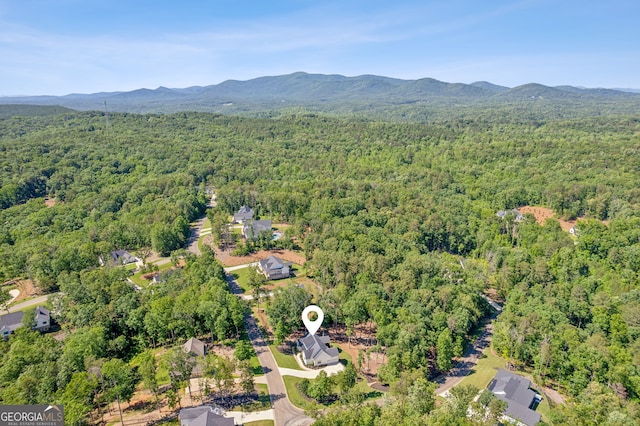 210 Birmingham Rd, Ball Ground, GA 30107 - view of property location with a forest and a mountain backdrop