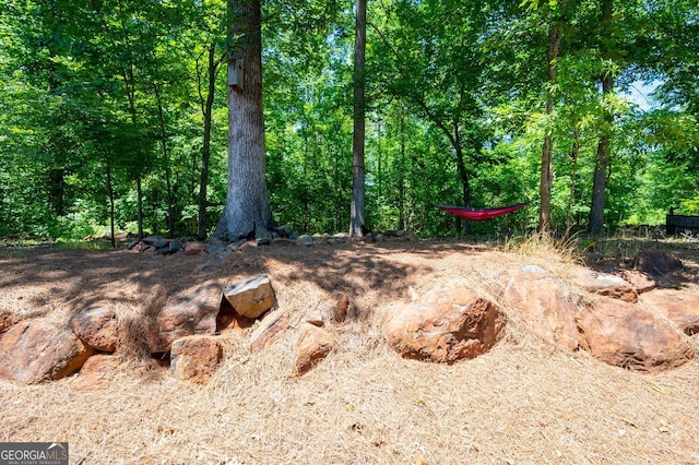2470 Anderson Estates Ct, Marietta, GA 30064 - view of undeveloped land