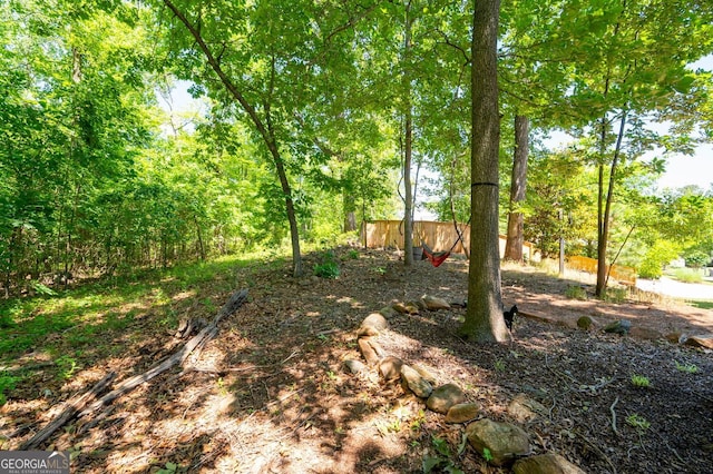 2470 Anderson Estates Ct, Marietta, GA 30064 - view of yard