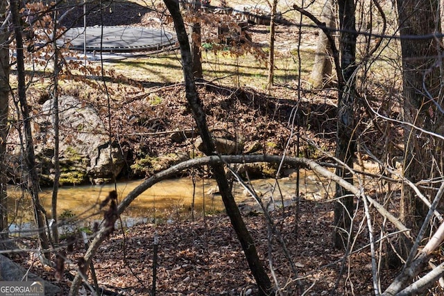 217 Huntington Shoals Dr, Athens, GA 30606 - view of undeveloped land
