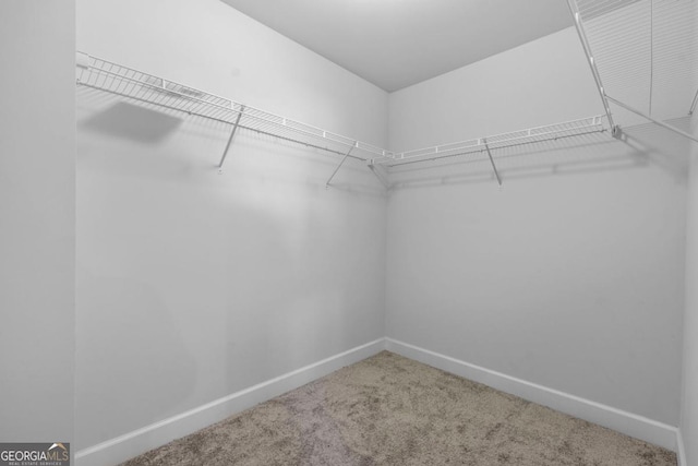 55 Clubhouse Way, Acworth, GA 30101 - spacious closet with carpet floors