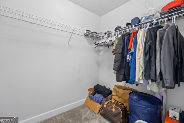 55 Clubhouse Way, Acworth, GA 30101 - walk in closet featuring carpet floors