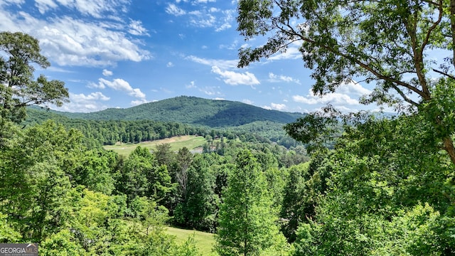 64 Town View Cir, Blairsville, GA 30512 - view of mountain background featuring a heavily wooded area