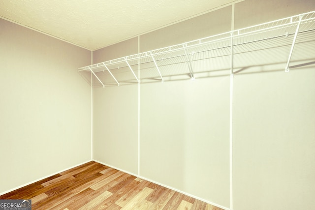 64 Town View Cir, Blairsville, GA 30512 - walk in closet with wood finished floors