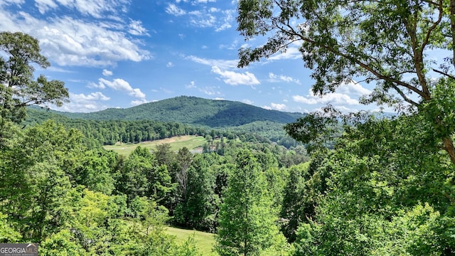 64 Town View Cir, Blairsville, GA 30512 - view of mountain background featuring a forest