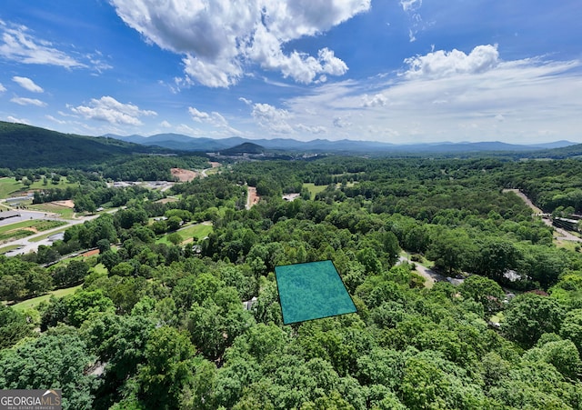 64 Town View Cir, Blairsville, GA 30512 - aerial view of a forest and a mountain backdrop