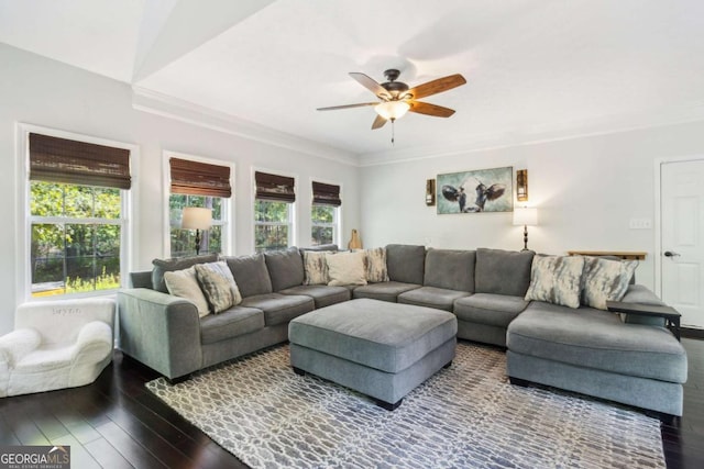 25 Grange Ct, Sharpsburg, GA 30277 - living room with ceiling fan, hardwood / wood-style flooring, and ornamental molding