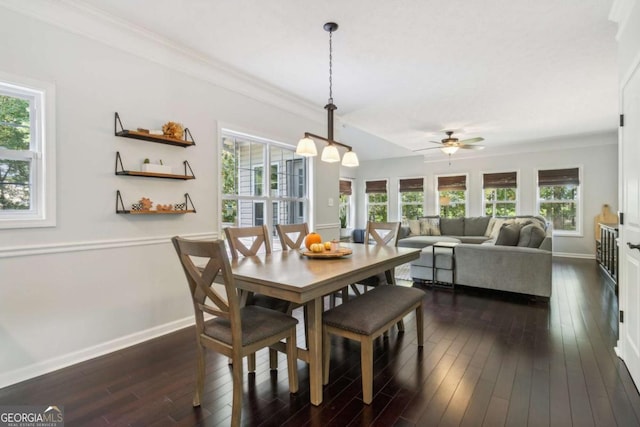 25 Grange Ct, Sharpsburg, GA 30277 - dining space featuring ceiling fan, dark wood-type flooring, and ornamental molding