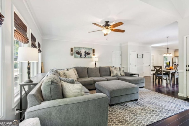 25 Grange Ct, Sharpsburg, GA 30277 - living area featuring dark wood-style flooring, ceiling fan, and crown molding