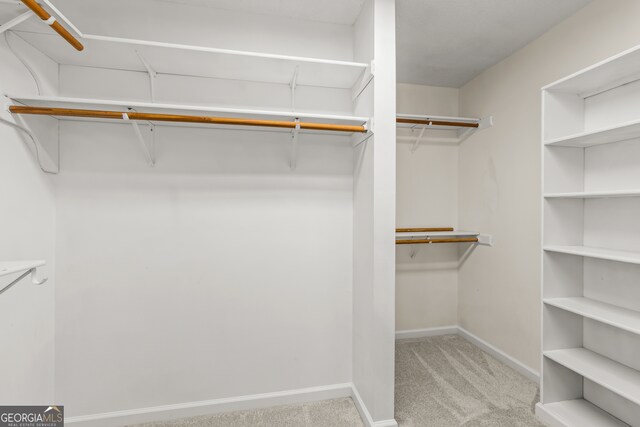 220 Drumcliff Ct, Tyrone, GA 30290 - spacious closet with carpet floors