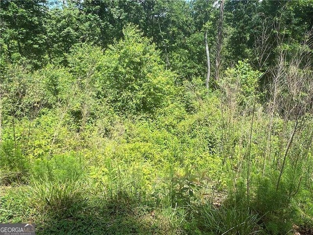 75 Hope Ct, Ellijay, GA 30540