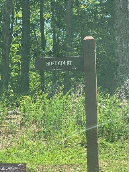 75 Hope Ct, Ellijay, GA 30540