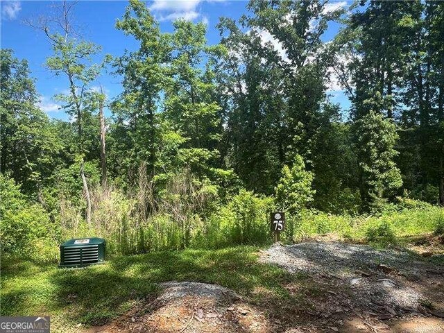 75 Hope Ct, Ellijay, GA 30540