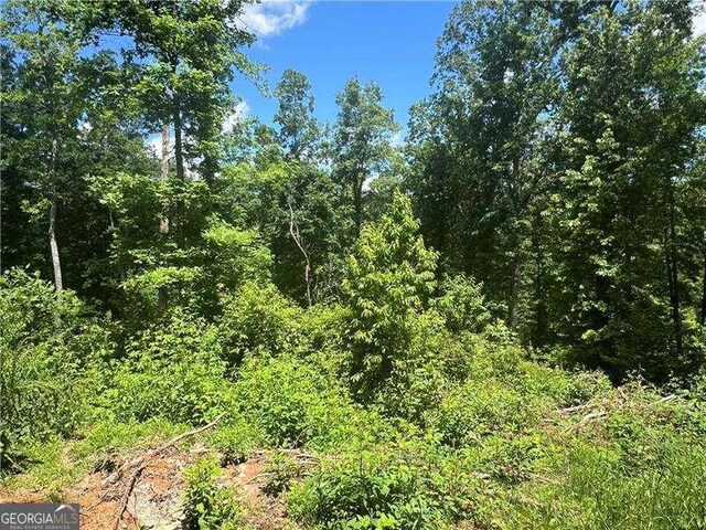 75 Hope Ct, Ellijay, GA 30540