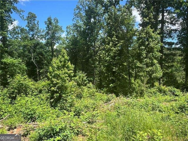 75 Hope Ct, Ellijay, GA 30540
