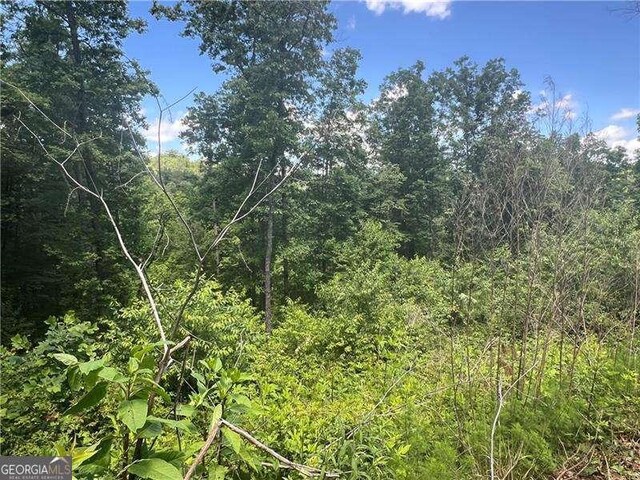 75 Hope Ct, Ellijay, GA 30540