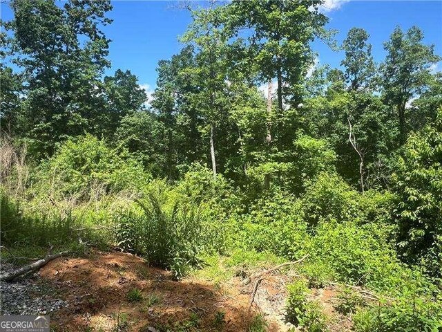 75 Hope Ct, Ellijay, GA 30540