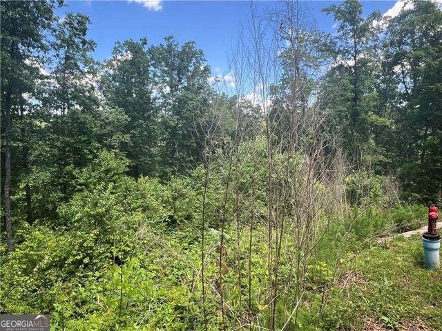 75 Hope Ct, Ellijay, GA 30540