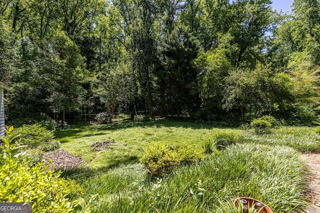 1268 Thomas Rd, Decatur, GA 30030 - view of yard
