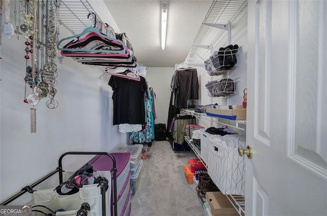2908 Cottesford Way, Smyrna, GA 30080 - walk in closet with carpet flooring