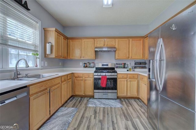 2908 Cottesford Way, Smyrna, GA 30080 - kitchen with stainless steel appliances, under cabinet range hood, a sink, light wood-style flooring, and light countertops