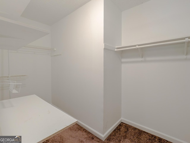 2918 Pavia Cir, Austell, GA 30106 - walk in closet with carpet