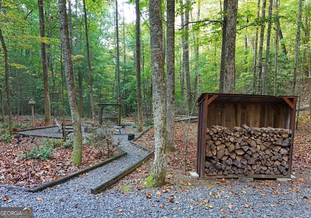 151 Hatchet Trl, Cherry Log, GA 30522 - view of yard with a forest view