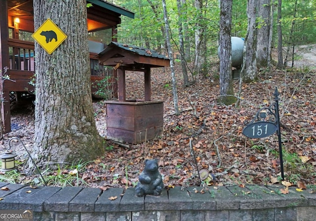 151 Hatchet Trl, Cherry Log, GA 30522 - exterior view