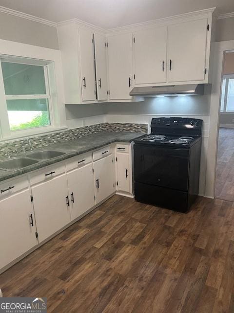 313 Rothwell St, Pooler, GA 31322 - kitchen featuring black electric range, a sink, under cabinet range hood, crown molding, and dark wood finished floors