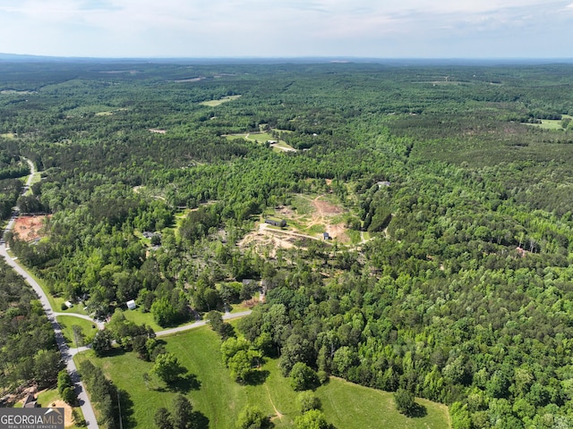 134 Roy Dean Rd, Buchanan, GA 30113 - view of property location featuring a heavily wooded area