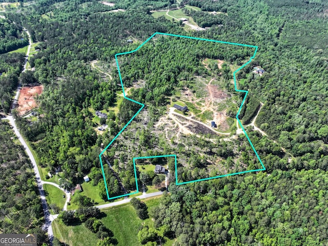 134 Roy Dean Rd, Buchanan, GA 30113 - map / location featuring property boundaries highlighted