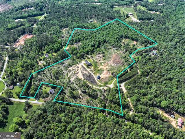 134 Roy Dean Rd, Buchanan, GA 30113 - aerial overview of property's location with a forest and property parcel outlined