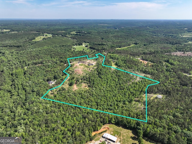 134 Roy Dean Rd, Buchanan, GA 30113 - aerial view of property and surrounding area with a forest and property parcel outlined