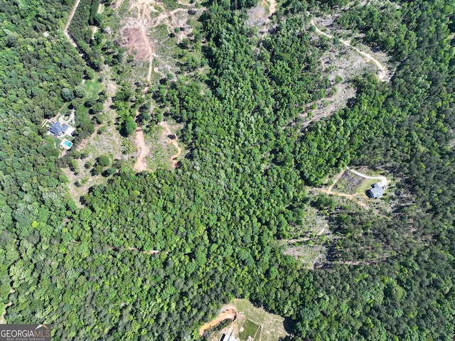 134 Roy Dean Rd, Buchanan, GA 30113 - aerial view of property's location