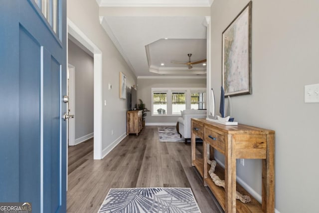 194 Pistachio Ln, Kingsland, GA 31548 - entrance foyer with a tray ceiling, crown molding, wood finished floors, ceiling fan, and baseboards