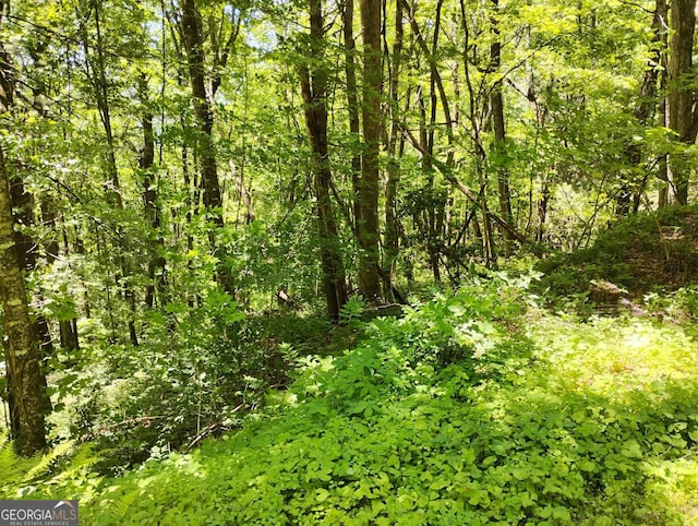 0 Labelle Cir Lot 92, Sky Valley, GA 30537