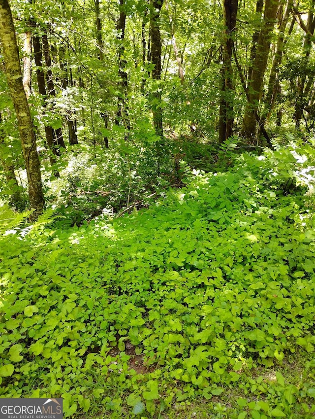 0 Labelle Cir Lot 92, Sky Valley, GA 30537