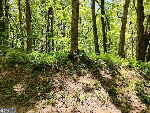 0 Labelle Cir Lot 92, Sky Valley, GA 30537
