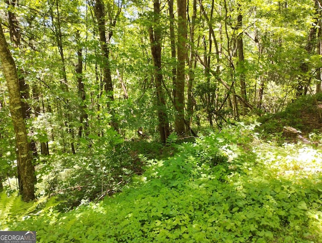 0 Labelle Cir Lot 92, Sky Valley, GA 30537