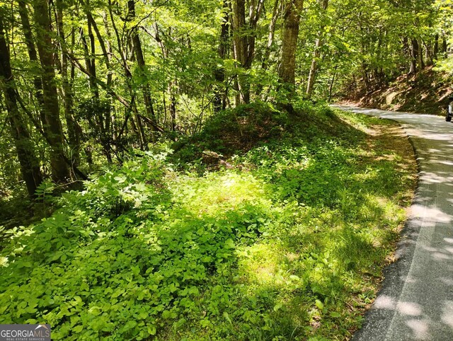0 Labelle Cir Lot 92, Sky Valley, GA 30537