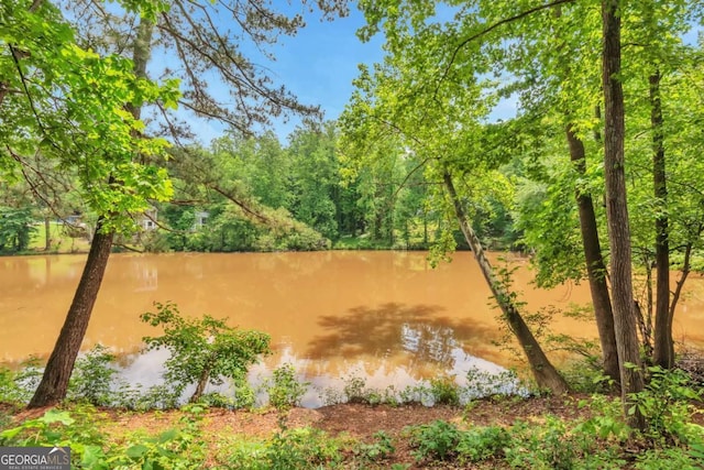 744 Martin Rd, Stone Mountain, GA 30088 - view of yard with a water view and a view of trees