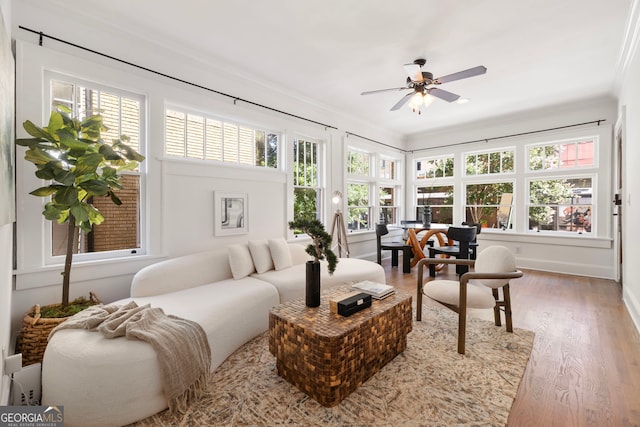 653 N Highland Ave NE Unit 5, Atlanta, GA 30306 - view of sunroom / solarium