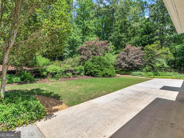 264 Keller Dr, Mcdonough, GA 30252 - view of green lawn with a patio